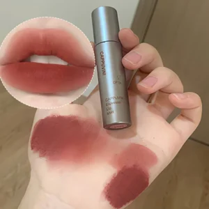 Single Velvet Matte Mist Lip Gloss,Waterproof Non-Stick Cup Lip Glaze Smudge Proof Not Fade Liquid Lipstick 1