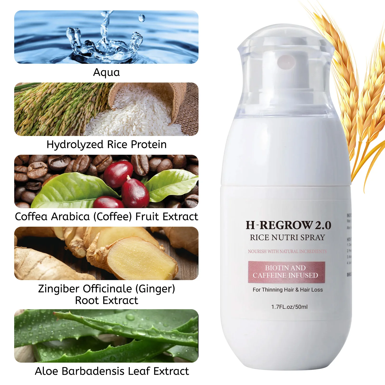 Fermented Rice Water for Hair Growth Hair Regrowth Essential Oil Scalp Treatment Hair Fall Control Serum Plant Dense Hair Spray 5